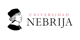 Nebrija University logo image