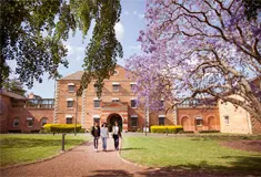 Three students walking on university grounds with blossom tree
