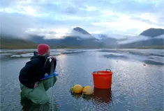 University Centre of the Westfjords - image 1